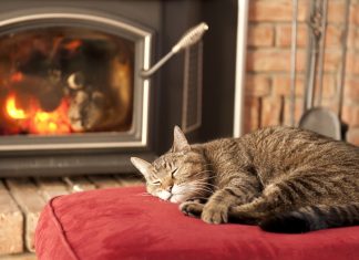 incalzire centralizata