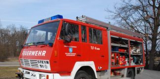 Autospeciala STEYR 791