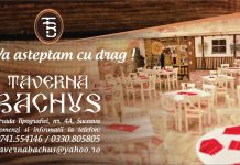 ȘOFER LIVRĂRI Taverna Bachus Banner