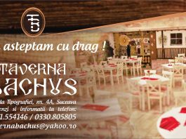 Taverna Bachus Banner