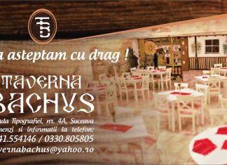 Taverna Bachus Banner