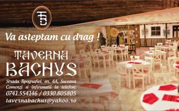 ȘOFER LIVRĂRI Taverna Bachus Banner