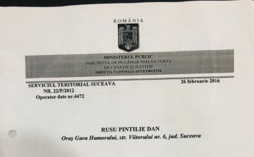 Rusu Dan Pintilie