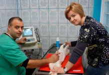 Fanvet Clinica Veterinara Suceava