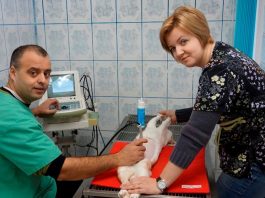 Fanvet Clinica Veterinara Suceava