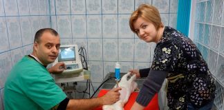 Fanvet Clinica Veterinara Suceava