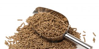 Furaje-pentru-animale