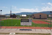 afacere cu gazon artificial sintetic