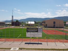 afacere cu gazon artificial sintetic