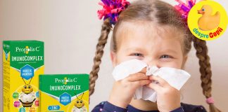 Întărește-ți sistemul imunitar cu Propolis C Imunocomplex