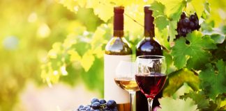 Care sunt cele mai vechi vinării din Moldova