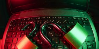 Cum alegi un responsabil cu Protecția Datelor (DPO)