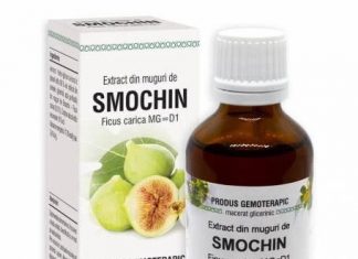 Ce suplimente Plantextrakt îmbunătăţesc funcţionarea sistemului cardiovascular