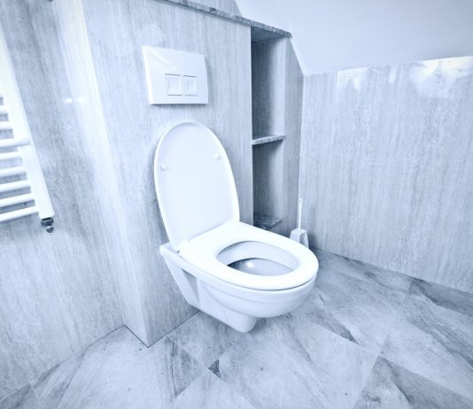 5 criterii în funcție de care să alegi vasul de toaletă pentru baia ta