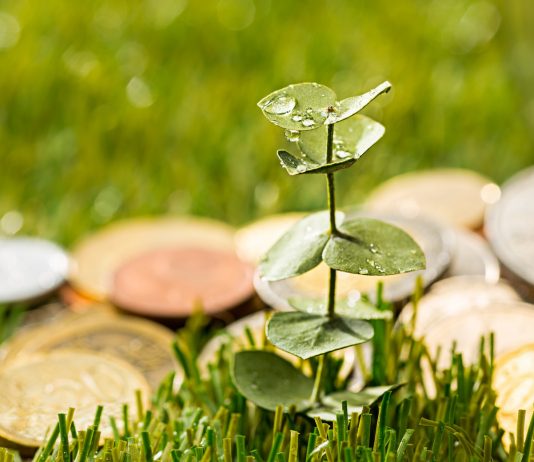 De ce credite poți beneficia în agricultură?