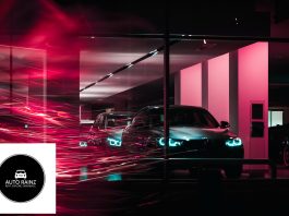 Auto Rainz SRL: Pionieratul în Domeniul Închirierilor Auto în Oltenia