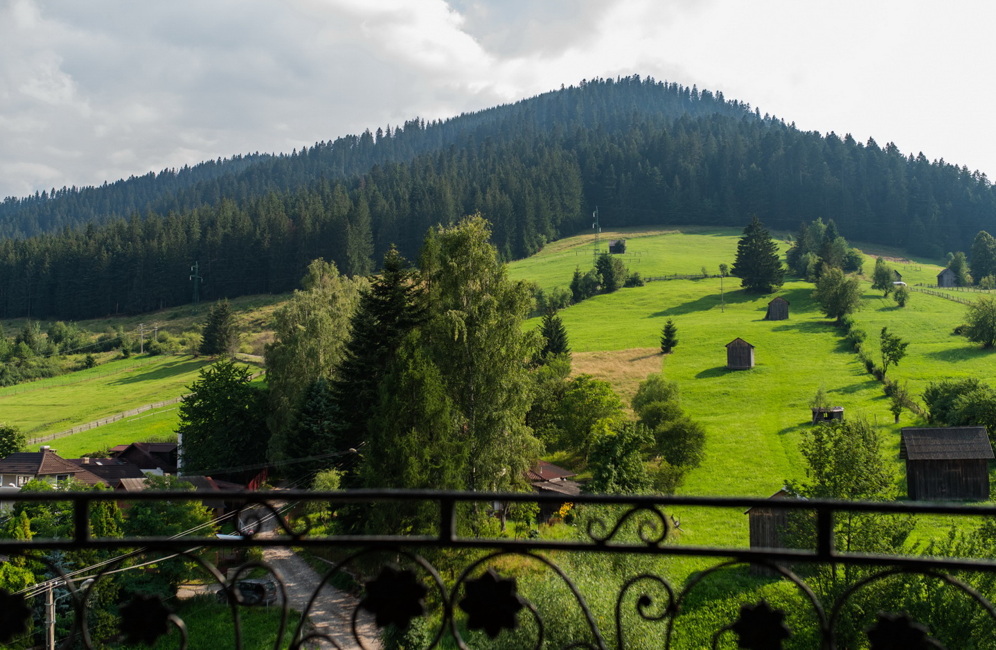 Bucovina