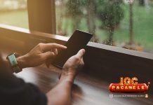 Jocuri de cazinou pentru o zi ploioasă de toamnă