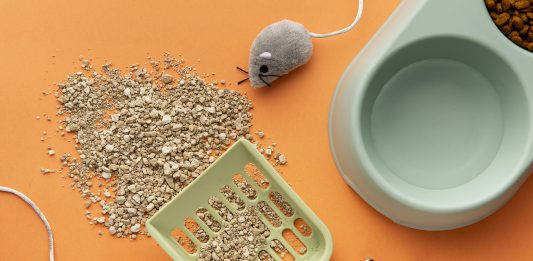 Descoperă noua eră a accesoriilor pentru pisici Descoperă noua eră a accesoriilor pentru pisici