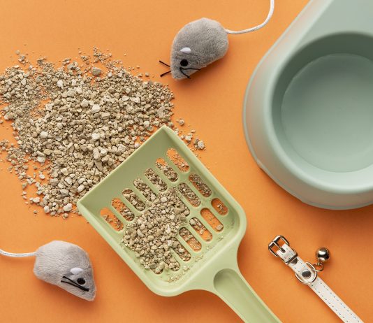 Descoperă noua eră a accesoriilor pentru pisici