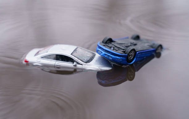 RCA verificare simplă cu abonament Evită Amenzi