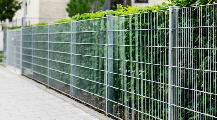 Cum îți schimbi complet aspectul curții cu un singur element simplu și eficient