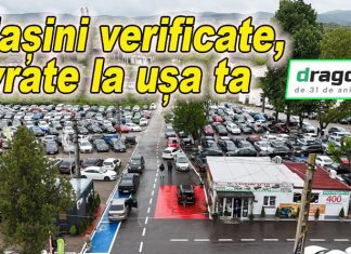 Mașini în rate livrate oriunde în județul Suceava – oferta Parcului Auto Dragoliv