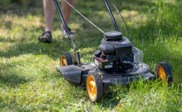 Cum alegi corect echipamentele pentru grădină: sfaturi practice pentru rezultate vizibile