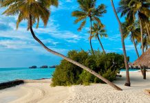 De la plaje tropicale la safari: vacanțe exotice pentru fiecare
