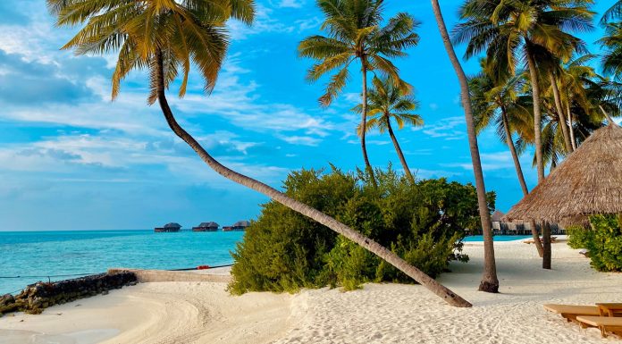 De la plaje tropicale la safari: vacanțe exotice pentru fiecare