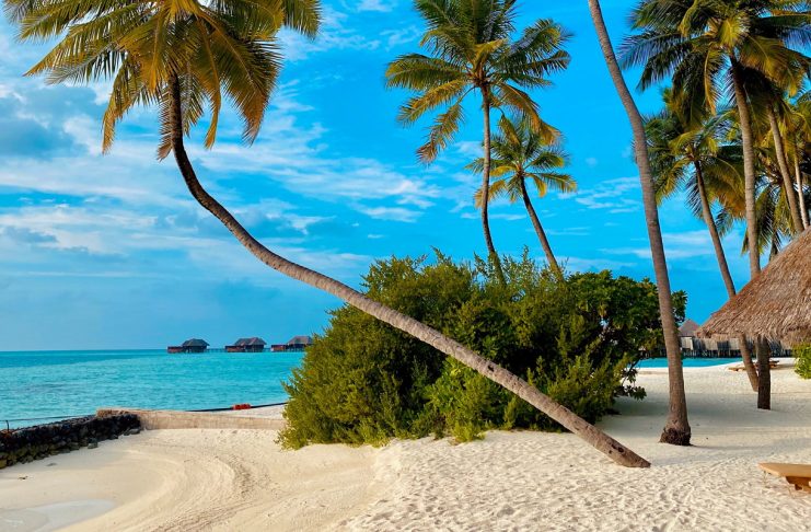 De la plaje tropicale la safari: vacanțe exotice pentru fiecare De la plaje tropicale la safari: vacanțe exotice pentru fiecare