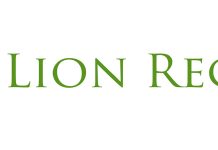 Lion Recycle și importanța serviciilor integrate de închiriere container moloz și transport deșeuri Lion Recycle și importanța serviciilor integrate de închiriere container moloz și transport deșeuri