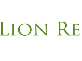 Lion Recycle și importanța serviciilor integrate de închiriere container moloz și transport deșeuri Lion Recycle și importanța serviciilor integrate de închiriere container moloz și transport deșeuri