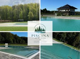 ÎN CURÂND în inima pădurii bucovinene din Voitinel: Piscina din Pădure