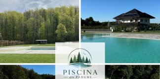 ÎN CURÂND în inima pădurii bucovinene din Voitinel: Piscina din Pădure