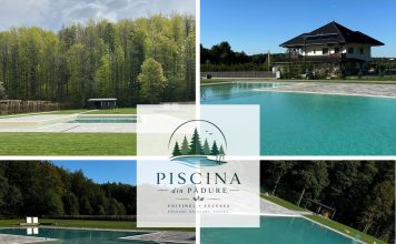 Piscina din Pădure: în inima pădurii bucovinene din Voitinel