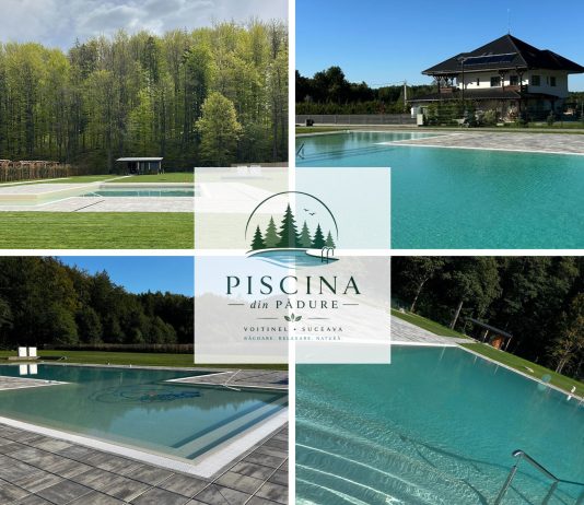 ÎN CURÂND în inima pădurii bucovinene din Voitinel: Piscina din Pădure
